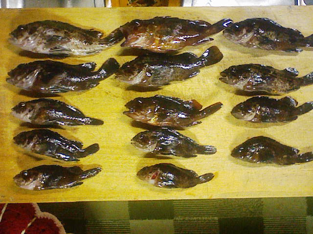 F1000002 - コピー (4).JPG