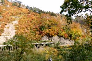 10 26 金 田子倉ダム への往復はずっと紅葉の中でした 栃木の花旅 楽天ブログ