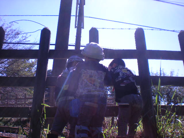 DSCN0723.JPG