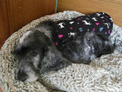 DSCN1452.JPG