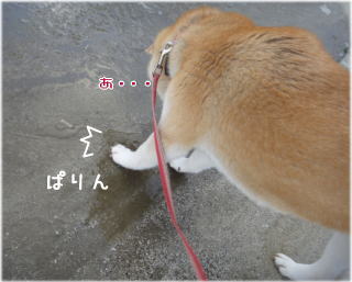 0210凍る.jpg