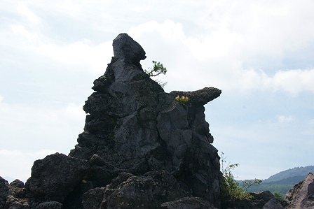 DSC00674.jpg