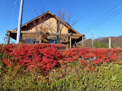 P1060253.jpg