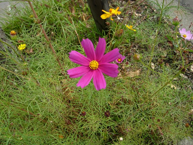 DSCN4213.JPG