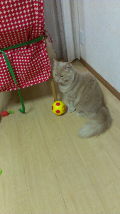 rblog-20130413002631-00.png