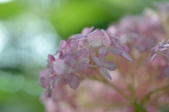 s-DSC_0816.jpg