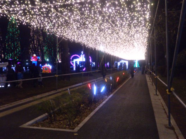 2012-12-13 18.45.46.jpg