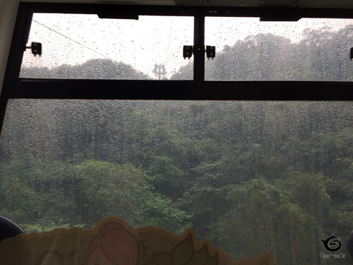 最初は景色が見えましたが