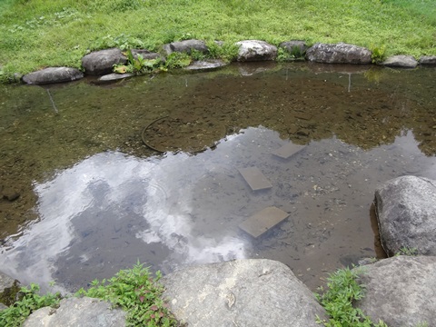 DSC06779.JPG