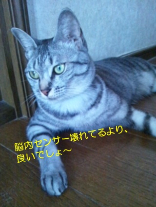 20120718_5.jpg