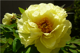 P1040802.png