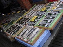 RIMG0490.JPG