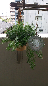 rblog-20130716132444-00.png