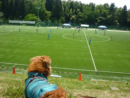P1080679.JPG