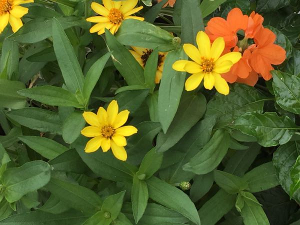 rblog-20170805124405-01.jpg