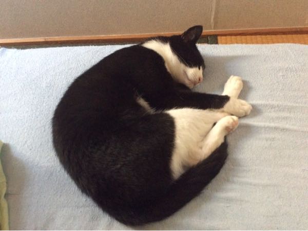 rblog-20170723224129-02.jpg