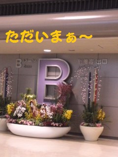 １／５　帰国