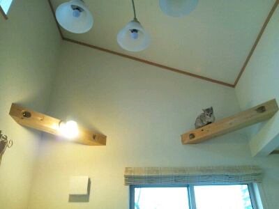 iphone_20120226231934.jpg