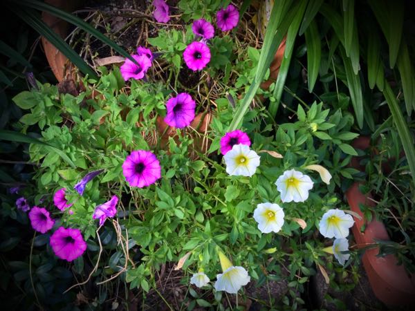 rblog-20160731172856-02.jpg