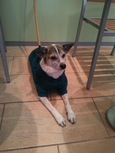 rblog-20140325115430-01.jpg