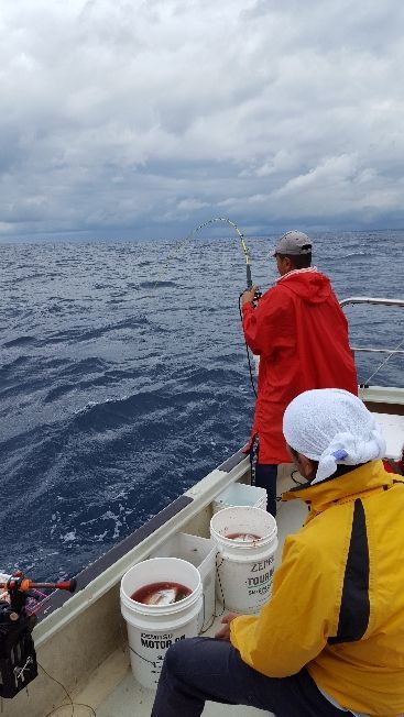 rblog-20180917201854-01.jpg