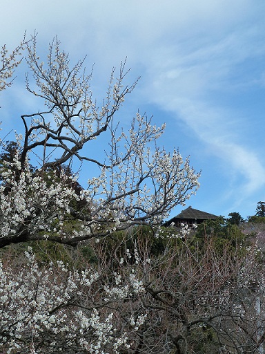 2015.3.4 涸沼・偕楽園 023.JPG