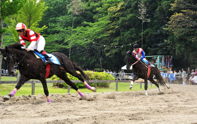 馬６