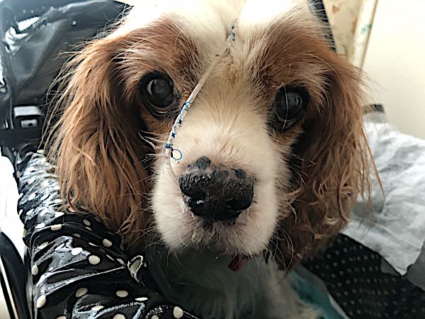 rblog-20180207092912-01.jpg