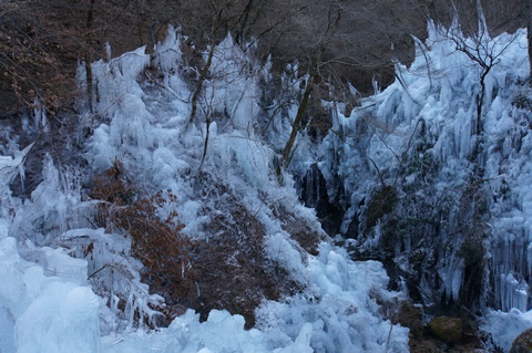 DSC01347.JPG