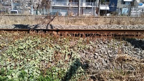 rblog-20180325211152-00.jpg