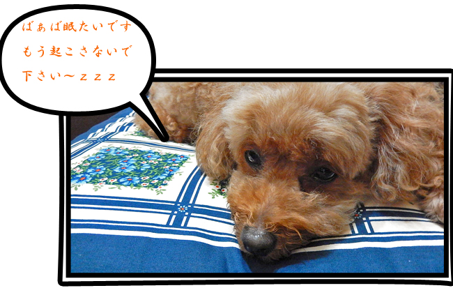 こころ２