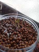 rblog-20130604111435-03.png