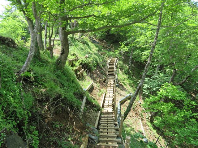 丹沢表尾根・鍋割山（3）烏尾山→塔ノ岳 | 星とカワセミ好きのブログ - 楽天ブログ
