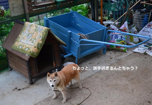 DSC_0219.JPG