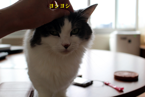 mumu3.jpg