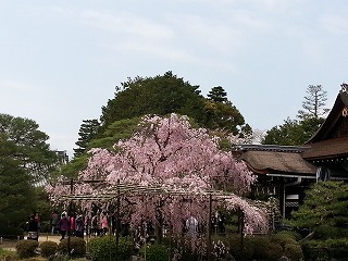 2015-04-09 12.54.23ss.jpg