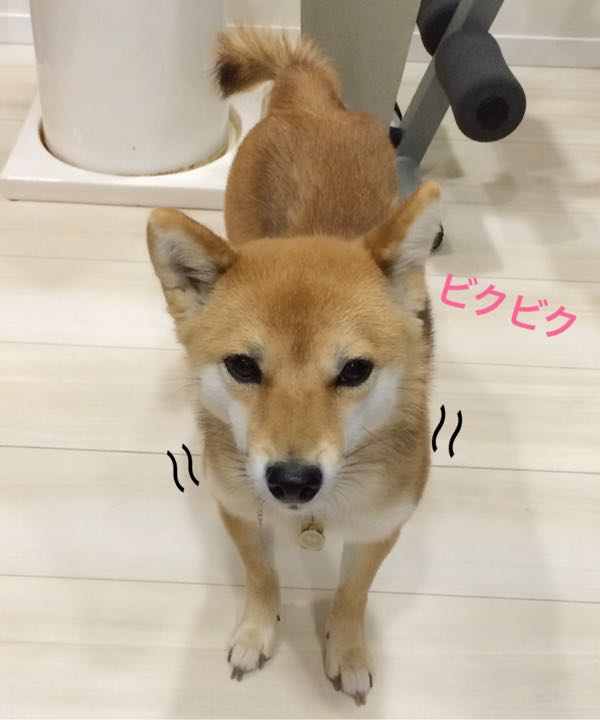 rblog-20170811095955-00.jpg