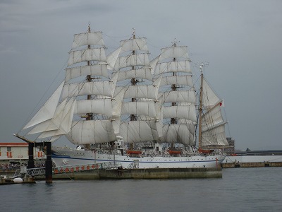 P1050338.jpg