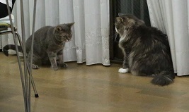 5DA_5624-13.jpg