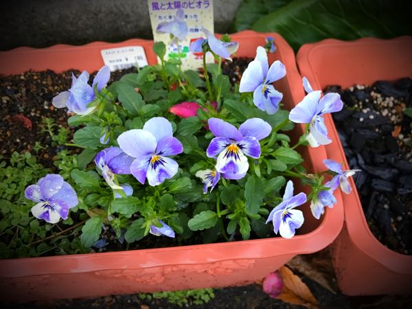 rblog-20161129163609-05.jpg