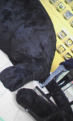 PA0_0022 (2).JPG