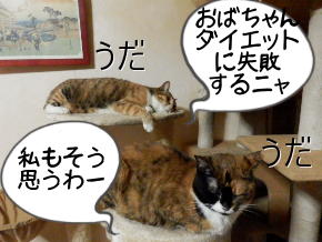 P7130053_2.png