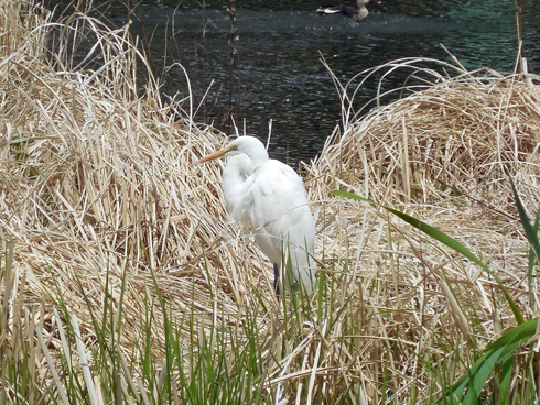 DSCN5528.JPG