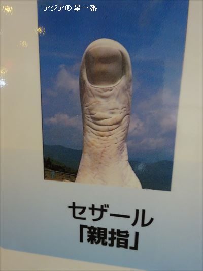 20160702 霧ヶ峰湿原13