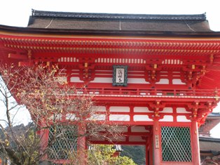 PICT0196.JPG