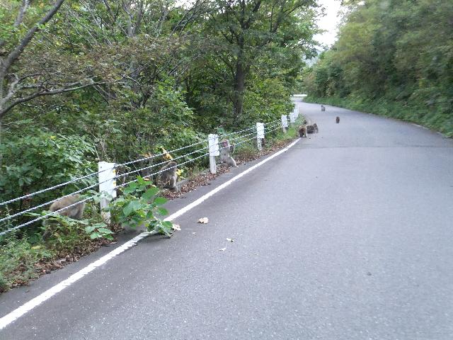 DSCF2373.jpg
