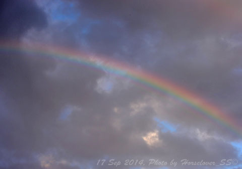 20140917_1653Raimbow_04