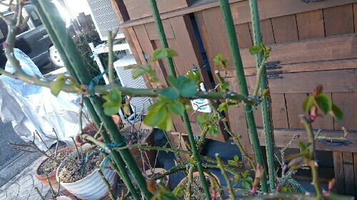 rblog-20150311090246-01.jpg