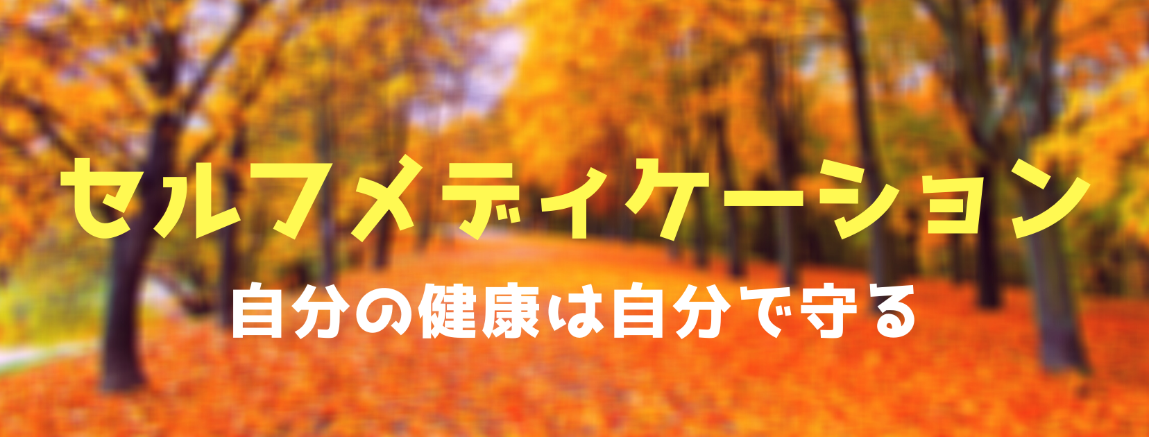 日立市のアーニーカイロのブログ