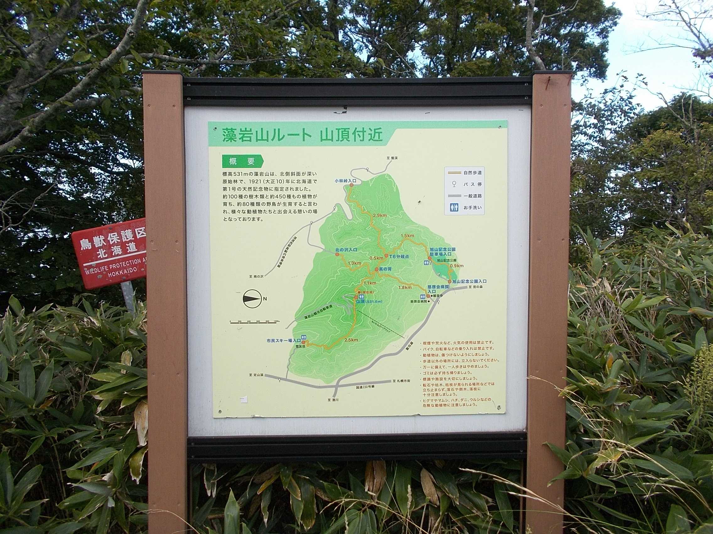 日本新三大夜景 札幌藻岩山 山頂 テイクアウトラウンジ | ラスベガス ロサンゼルスの旅 - 楽天ブログ